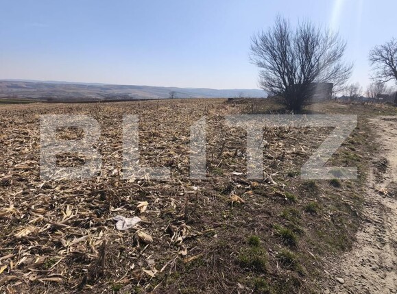 Teren de vânzare Granicesti - 190539TV | BLITZ Suceava | Poza1
