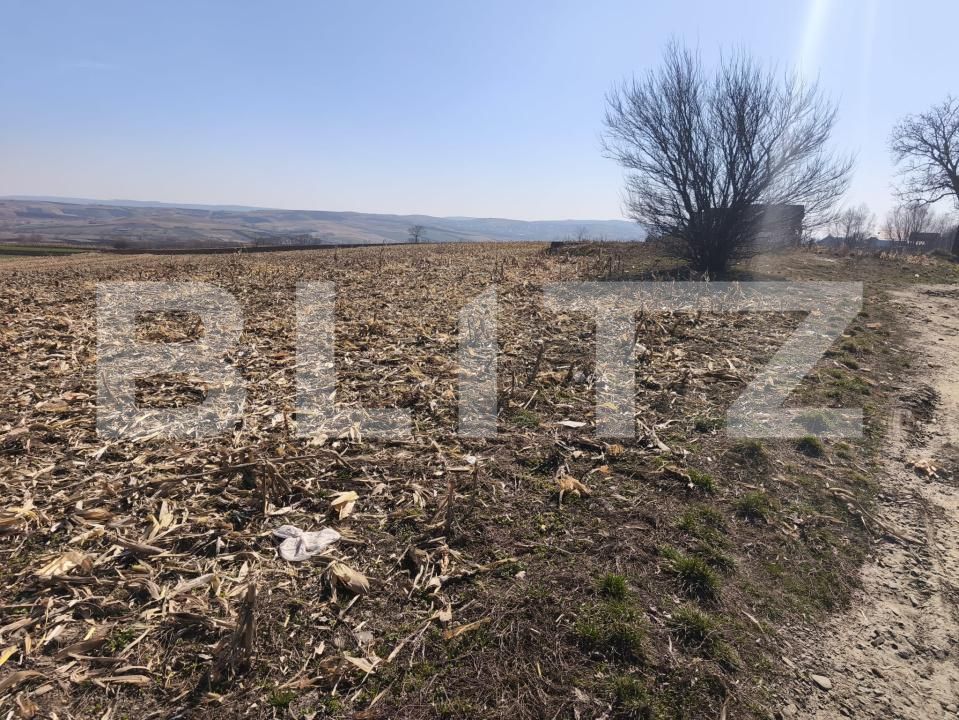 Teren de vânzare Granicesti - 190539TV | BLITZ Suceava | Poza4