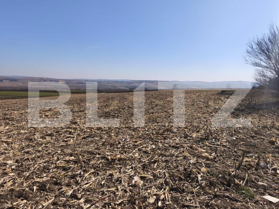 Teren de vânzare Granicesti - 190539TV | BLITZ Suceava | Poza2