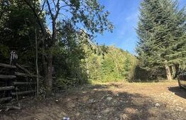 Teren de vânzare Periferie - 187698TV | BLITZ Suceava | Poza1