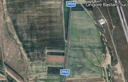 Ocazie ,  teren 1770 mp , front 27,85 ml , Strada Aeroportului Salcea