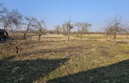Casa batraneasca, teren 5400 mp, Fratautii Vechi