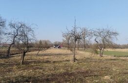 Casa batraneasca, teren 5400 mp, Fratautii Vechi