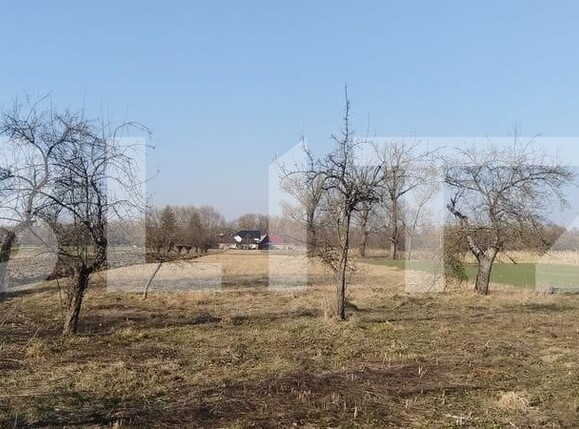 Casa de vânzare 4 camere Fratautii Vechi - 191019CV | BLITZ Suceava | Poza8