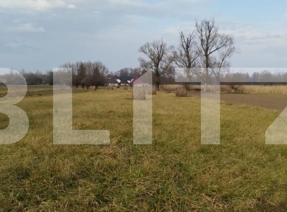 Casa de vânzare 4 camere Fratautii Vechi - 191019CV | BLITZ Suceava | Poza6