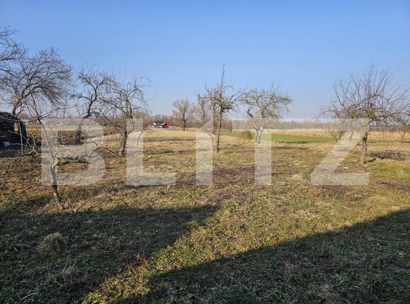 Casa de vânzare 4 camere Fratautii Vechi - 191019CV | BLITZ Suceava | Poza7