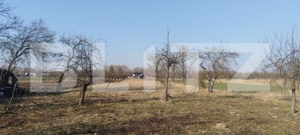 Casa de vânzare 4 camere Fratautii Vechi - 191019CV | BLITZ Suceava | Poza8