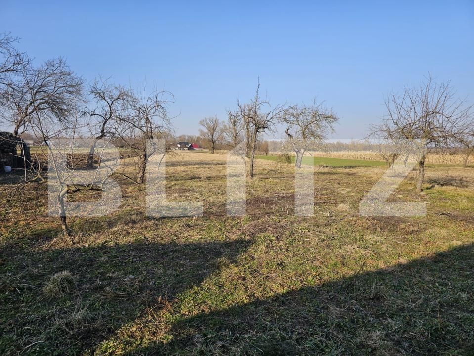 Casa de vânzare 4 camere Fratautii Vechi - 191019CV | BLITZ Suceava | Poza7