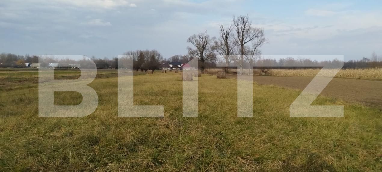 Casa de vânzare 4 camere Fratautii Vechi - 191019CV | BLITZ Suceava | Poza6