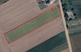 Teren intravilan 3.255 mp | deschidere la E85 | loc. Romanești