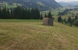 Teren Șaru Dornei, 3 ha extravilan