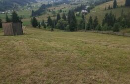 Teren Șaru Dornei, 3 ha extravilan
