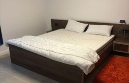 De inchiriat duplex Ipotesti, mobilat utilat 150 mp zona linistita