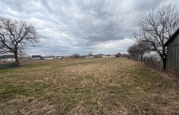 Casa batraneasca , renovabila , 1586 mp teren , Dumbraveni Suceava 
