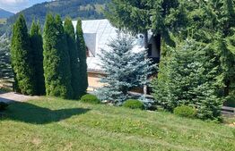 Casă de vânzare în Vatra Dornei, 65 mp amprenta la sol