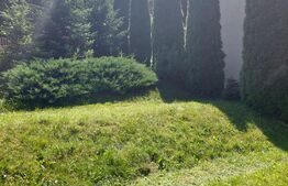 Casă de vânzare în Vatra Dornei, 65 mp amprenta la sol