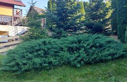 Casă de vânzare în Vatra Dornei, 65 mp amprenta la sol