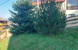 Casă de vânzare în Vatra Dornei, 65 mp amprenta la sol