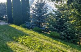Casă de vânzare în Vatra Dornei, 65 mp amprenta la sol