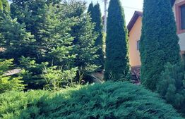 Casă de vânzare în Vatra Dornei, 65 mp amprenta la sol