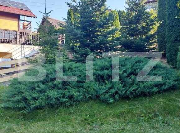 Casa de vânzare 3 camere Exterior Vest - 191339CV | BLITZ Suceava | Poza18