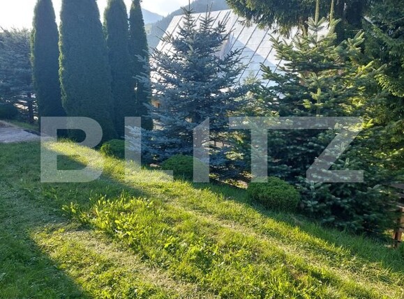 Casa de vânzare 3 camere Vatra Dornei - 191339CV | BLITZ Suceava | Poza16