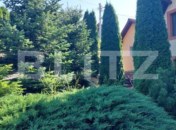 Casa de vânzare 3 camere Vatra Dornei - 191339CV | BLITZ Suceava | Poza5