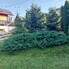 Casa de vânzare 3 camere Vatra Dornei - 191339CV - Poza 1 din 20 | BLITZ Suceava | Poza17