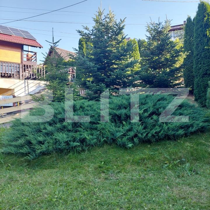 Casa de vânzare 3 camere Exterior Vest - 191339CV | BLITZ Suceava | Poza18