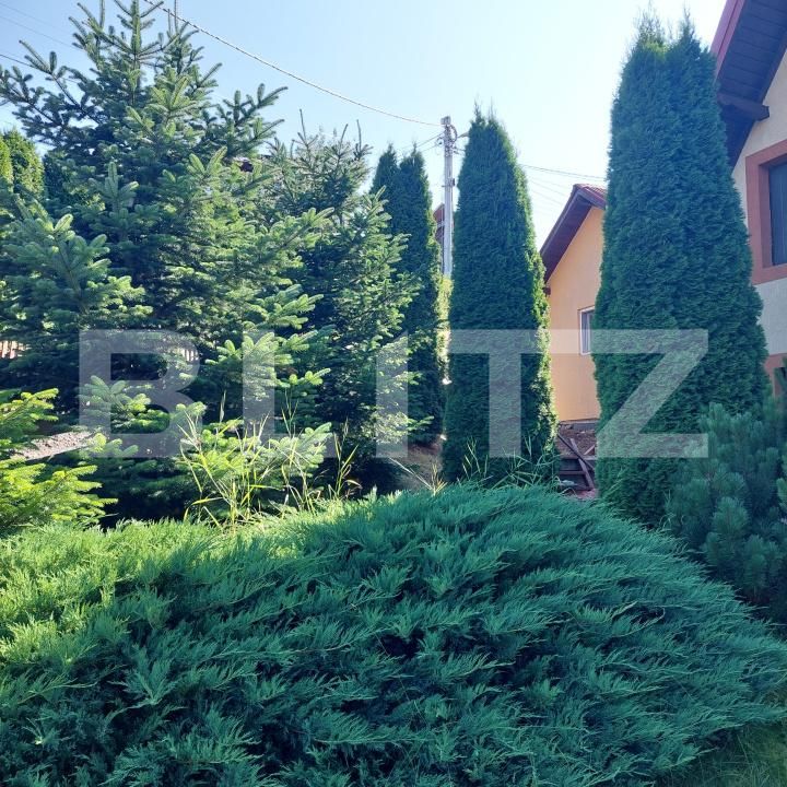 Casa de vânzare 3 camere Vatra Dornei - 191339CV | BLITZ Suceava | Poza5
