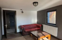 Spatiu comercial de inchiriat, 235mp, Radauti