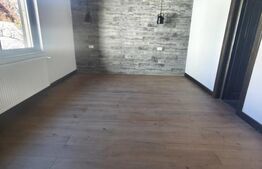 Spatiu comercial de inchiriat, 235mp, Radauti