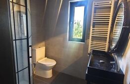 Spatiu comercial de inchiriat, 235mp, Radauti