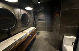 Spatiu comercial de inchiriat, 235mp, Radauti