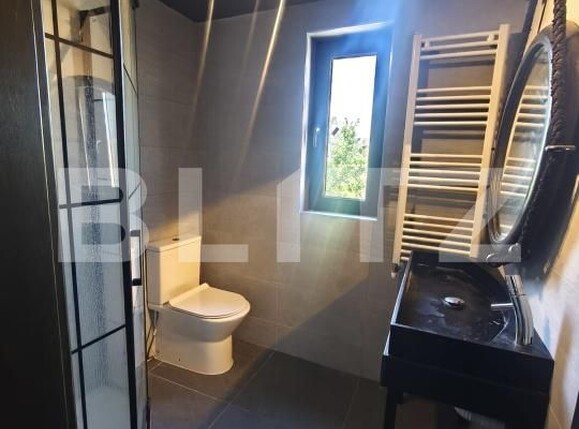 Spațiu comercial de închiriat Radauti - 191371SIC | BLITZ Suceava | Poza12