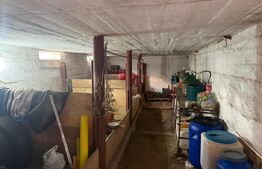 Spațiu comercial de închiriat, 98 mp – Drăgușeni