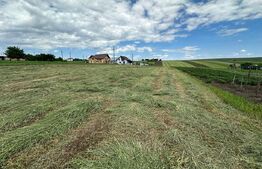 Teren Intravilan, pretabil casa, 2000 mp, zona Moara Carp