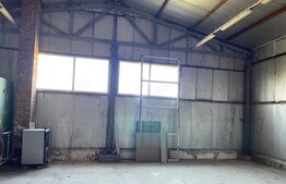 Hală industrială, 360 mp, 1000 mp teren, zona Dărmănești