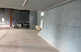 Hala industriala 250 mp utili, 700 mp teren in Patrauti