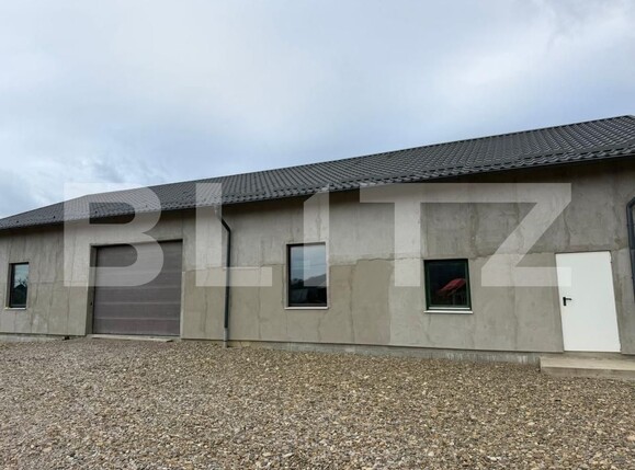 Spațiu industrial de închiriat Exterior Nord - 192393SII | BLITZ Suceava | Poza1