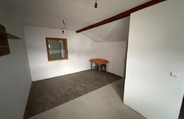 Hala industriala 250 mp utili, 700 mp teren - Patrauti