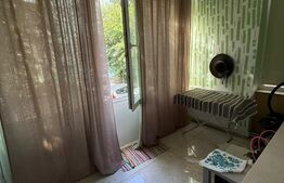 Apartament 1 Camera (Microapartament) Zona Centrala, 42 mp