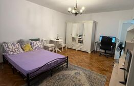 Apartament 1 Camera (Microapartament) Zona Centrala, 42 mp