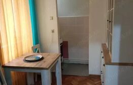 Apartament 1 Camera (Microapartament) Zona Centrala, 44 mp