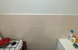 Apartament 1 Camera (Microapartament) Zona Centrala, 42 mp