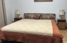 Casă de vânzare, 8 camere, 263 mp + 400 mp teren, în Câmpulung Moldovenesc 