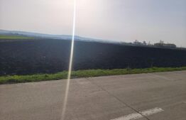 Teren extravilan, 9300mp, 55ml deschidere la drum, Satu Mare, Radauti