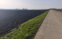 Teren extravilan, 9300mp, 55ml deschidere la drum, Satu Mare, Radauti