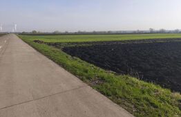Teren extravilan, 9300mp, 55ml deschidere la drum, Satu Mare, Radauti
