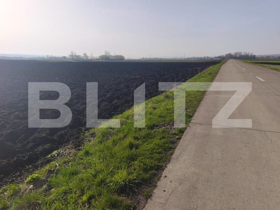 Teren de vânzare Satu Mare - 192720TV | BLITZ Suceava | Poza2